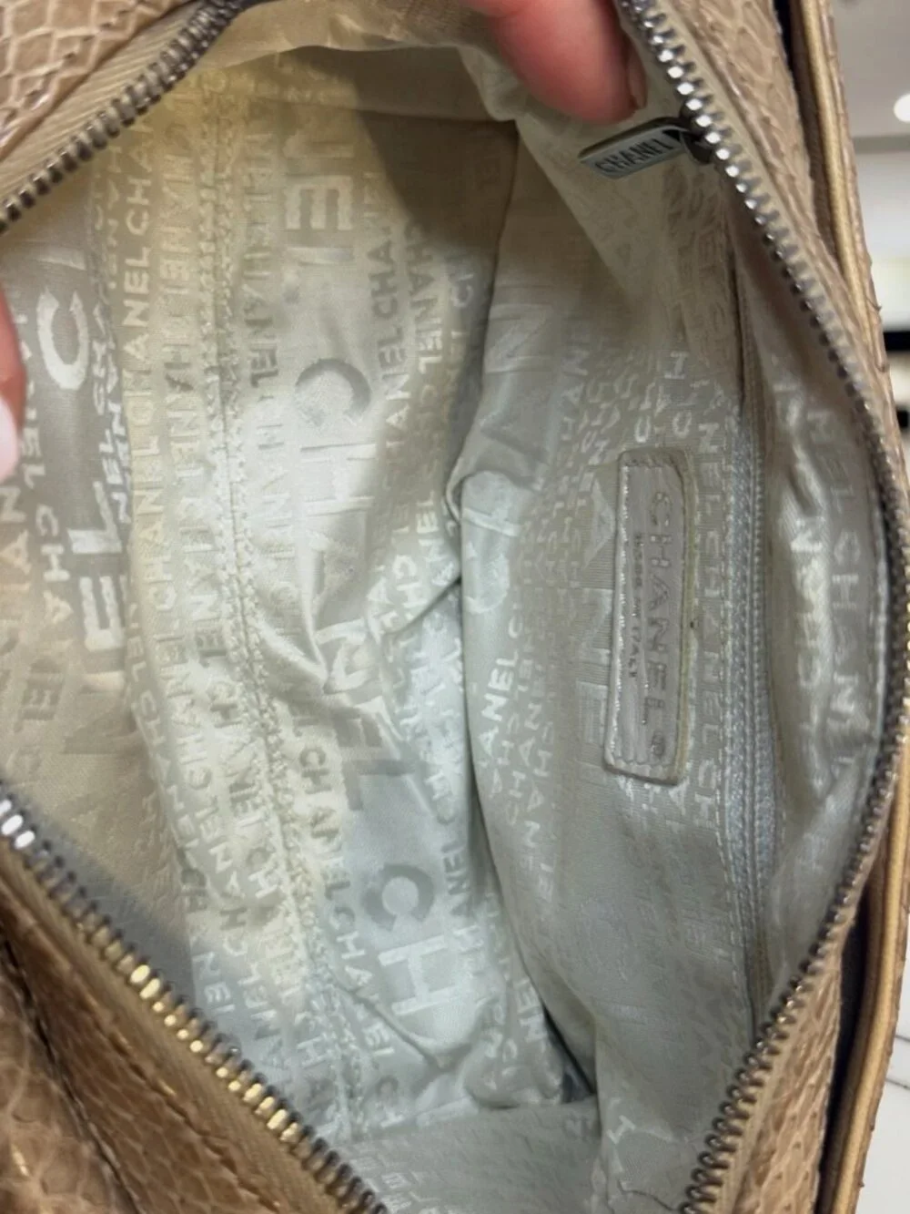 Chanel Python-Trimmed Accordion Flap Bag Taupe Exotic